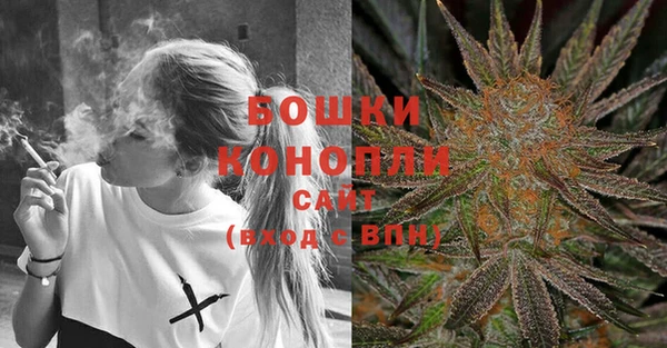 стаф Медногорск