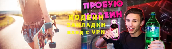 шишки Медвежьегорск