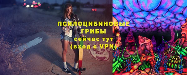 стаф Медногорск