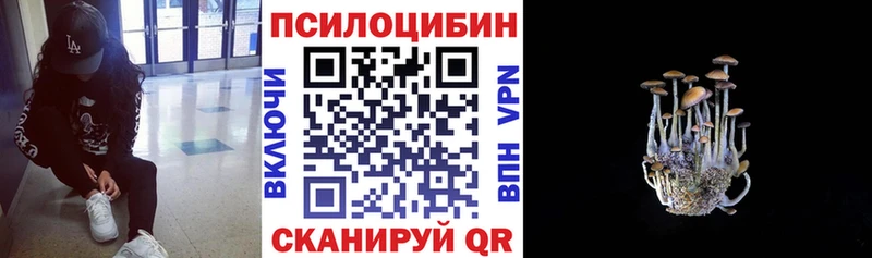 ОМГ ОМГ как зайти  Ковров  Псилоцибиновые грибы мухоморы  наркотики 
